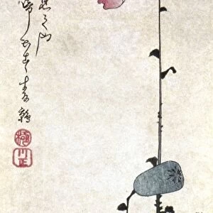 HIROSHIGE: POPPIES. Poppies and Quail. Woodblock print by Ando Hiroshige, c1835