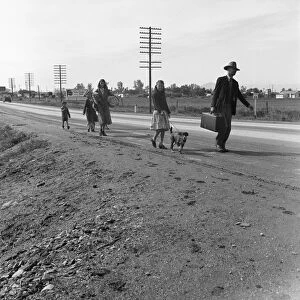 HOMELESS FAMILY, 1939. Family of migrant workers from Phoenix, Arizona, walking along U