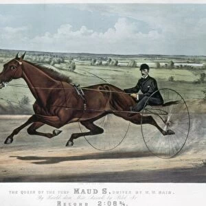 HORSE RACING, 1880. The Queen of the Turf Maud S
