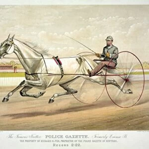 HORSE RACING, c1882. Famous Trotter Police Gazette Formerly Emma B: The Property of Richard K