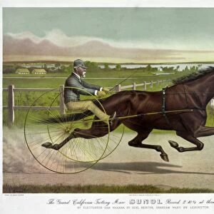 HORSE RACING, c1890. The Grand California Trotting Mare Sunol