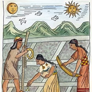 INCA FARMERS, 1583. Incan farmers planting corn with the aid of an Andean footplow