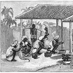 INDIA: SNAKE CHARMERS, 1887. Snake charmers performing for a British colonial in India