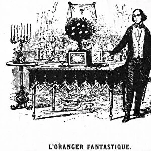 JEAN EUGENE ROBERT HOUDIN (1805-1871). French magician. Wood engraving from the first edition of Confidences d un Prestidigitateur, 1859, depicting Houdin and his Orange Tree trick