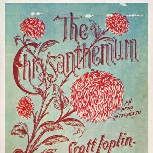 JOPLIN: CHRYSANTHEMUM. Lithograph sheet music cover of Scott Joplins The Chrysanthemum ( An Afro-Intermezzo ), 1904