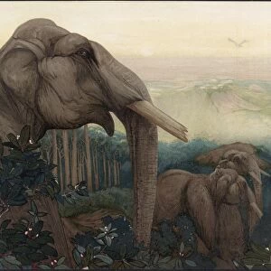 JUNGLE BOOK, 1903. Toomai of the elephants