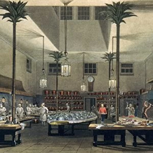 The kitchen of the Royal Pavilion at Brighton, England, designed for the Prince Regent, later King George IV, by John Nash. Color aquatint from Views of the Royal Pavilion by John Nash, 1826
