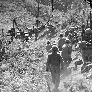 KOREAN WAR: TRIANGLE HILL. After enemy artillery has disrupted the Allied trolley system, litter bearers carry an injured soldier down, October 1952