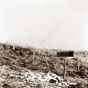 LITTLE BIGHORN, 1877. Battlefield of Little Bighorn, with grave markers and horse bones