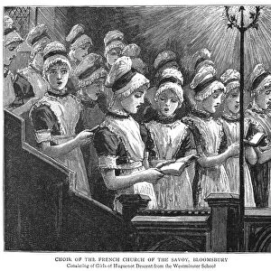 LONDON: FRENCH CHOIR, 1885. Choir of the French Church of the Savoy in London, England