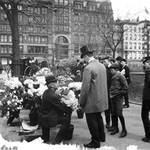 MADISON SQUARE GARDEN. A flower vendor outside Madison Square Garden, c1905