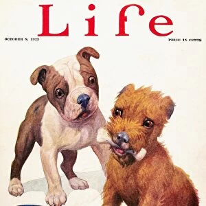 MAGAZINE: LIFE, 1925. Life magazine cover, 8 October 1925