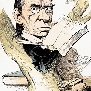 MAXIMILIEN LITTRE. Maximilien Paul-Emile Littre (1801-1881). French lexicographer and philosopher