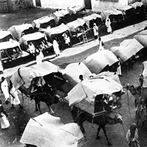 MECCA: PILGRIMS, c1910. Camels and tents of pilgrims in Mecca, Saudi Arabia. Photograph