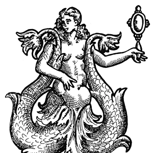 MERMAID, 1573. A double-tailed mermaid. Line engraving, French, c1573