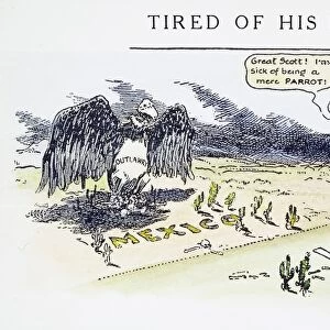 MEXICAN EXPEDITION, 1916. Tired of His Perch, cartoon, 1916, by Luther D