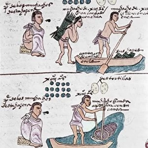 MEXICO: CODEX MENDOZA. A father teaches his son to carry firewood, to handle a canoe