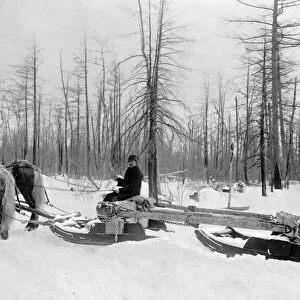 MICHIGAN: LUMBERING. A lumberjack logging with horsedrawn sled during the winter in Michigan