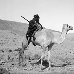 MIDDLE EASTERN TRAVELER. A Middle Eastern man traveling by camel