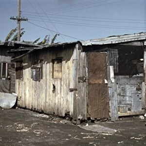 MIGRANT WORKERS, 1941. Shacks of African American migrant workers in Belle Glade, Florida. Photograph, February 1941