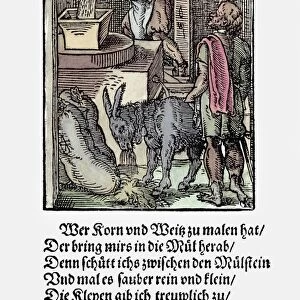 MILLING GRAIN, 1568. The Miller. Woodcut, 1568, by Jost Amman