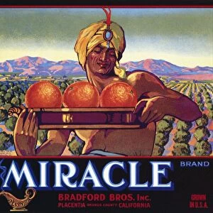 For Miracle brand oranges from California