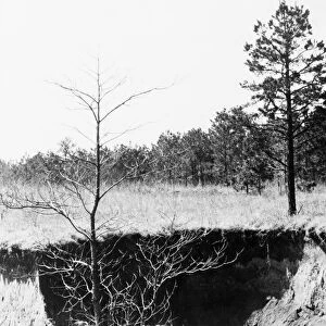 MISSISSIPPI: EROSION, 1936. Eroded farmland near Oxford, Mississippi