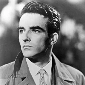MONTGOMERY CLIFT (1920-1966). American actor. Photograph, c1955