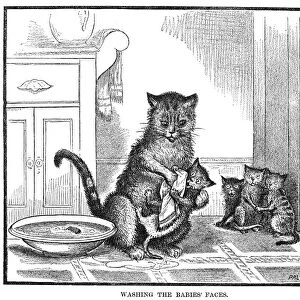 MOTHER CAT, 1880. Washing the babies faces. Line engraving, 1880