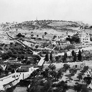 MOUNT OF OLIVES. View of the Garden of Gethsemane and Mount of Olives, East Jerusalem