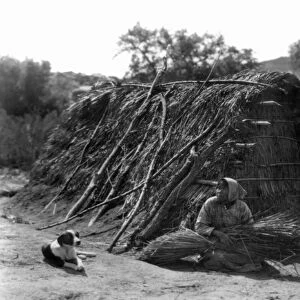 NATIVE AMERICAN HUT, c1924. A Native American woman and a dog in front of a hut in Campo