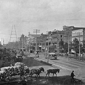 NEW ORLEANS: CANAL STREET. A view of Canal Street in New Orleans, Louisiana. Photograph