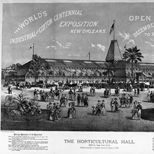 NEW ORLEANS FAIR, 1884. The Horticultural Hall at the Worlds Industrial and Cotton