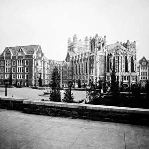 NEW YORK: CITY COLLEGE. The College of the City of New York, c1905