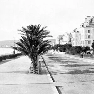 NICE: PROMENADE, c1890. La Promenade des Anglais on the Mediterranean Sea at Nice, France