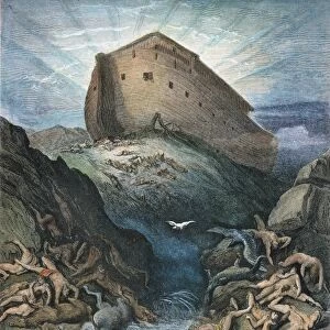 NOAHs ARK. The Dove sent forth from Noahs Ark (Genesis 8: 11). Engraving after Gustave Dor