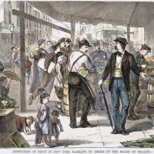 An officer from the Board of Health inspecting the produce at a New York City vegeatble market: wood engraving, American, 1873