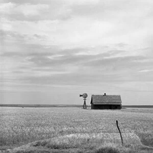 OKLAHOMA: FARM, 1937. An abandoned farm in Southwest Oklahoma. Photograph by Dorothea Lange