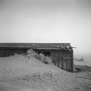 OKLAHOMA: FARMHOUSE, 1936. Sand dunes on farm in Cimarron County, Oklahoma