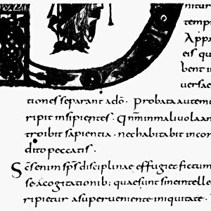 PALEOGRAPHY, 9th CENTURY. Carolingian minuscule from a ninth century manuscript