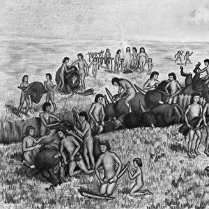 PALEOINDIAN BUFFALO HUNT. Paleoindians butchering buffalo in an arroyo at the Olsen-Chubbuck site