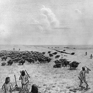 PALEOINDIAN BUFFALO HUNT. Paleoindians converging around a buffalo herd at the