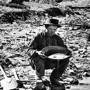 PANNING FOR GOLD. Prospector panning for gold at a stream. No further information