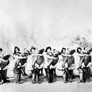 THE PARISIAN MODEL, c1905. Chorus girls and teddy bears on stage in the musical