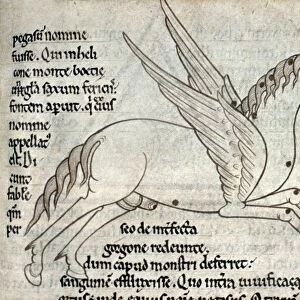 PEGASUS. Pegasus, winged horse of Greek mythology: ms. illumination, English, c1150
