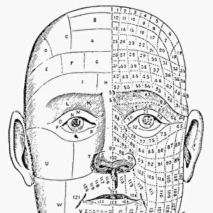 A phrenological chart of the 19th century