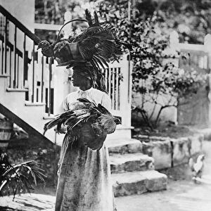 PORTRAIT: WOMAN. An African American woman carrying chickens and turkeys to market