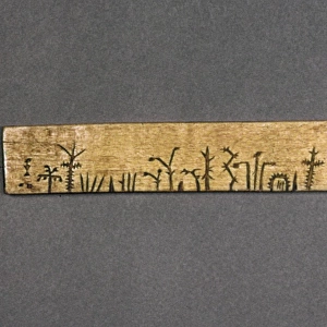 POTAWATOMI MEDICINE STICK. Stick containing many recipes for medicinal cures, used by the Potawatomi tribe in Michigan