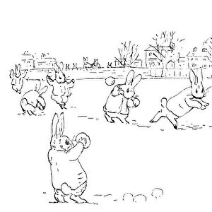 POTTER: SNOWBALL FIGHT. Rabbits throwing snowballs