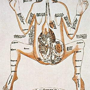 A pregnant woman: drawing, 16th century